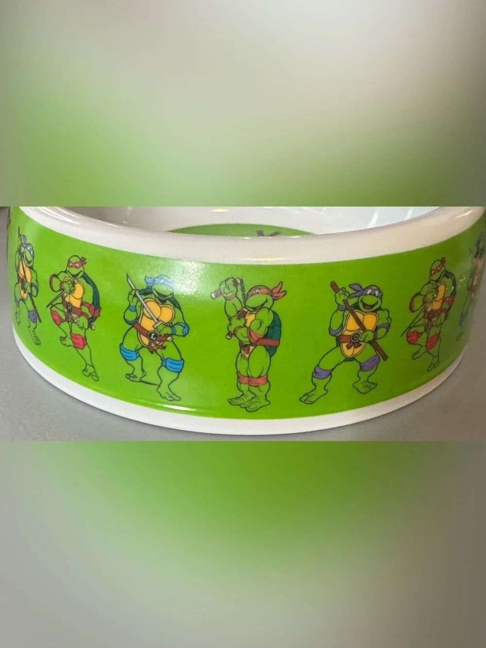 Teenage Mutant Ninja Turtles pet dog Bowl - Green Graphic novelty feeding